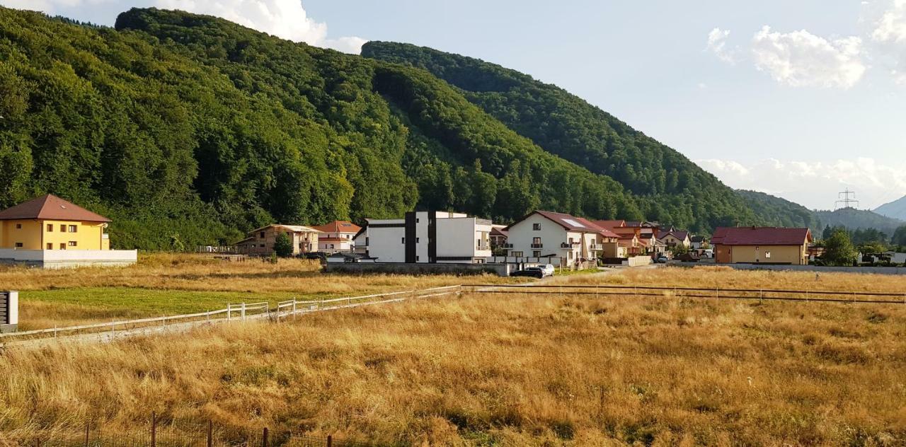 Carpen View Residence Săcele Dış mekan fotoğraf